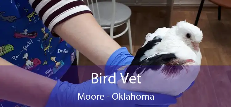 Bird Vet Moore - Oklahoma