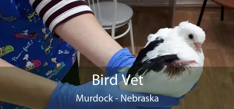 Bird Vet Murdock - Nebraska