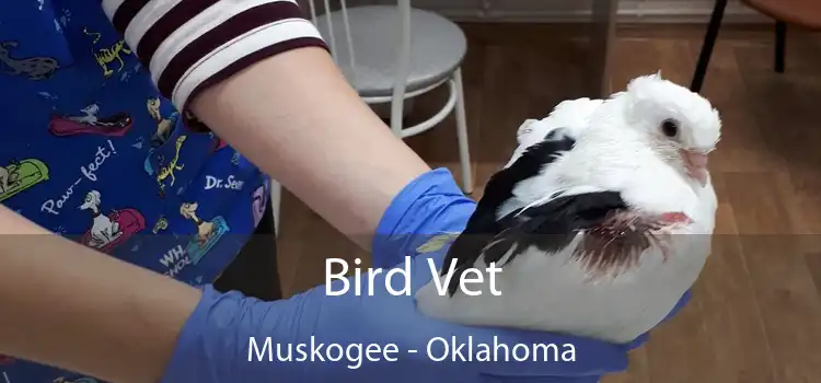 Bird Vet Muskogee - Oklahoma