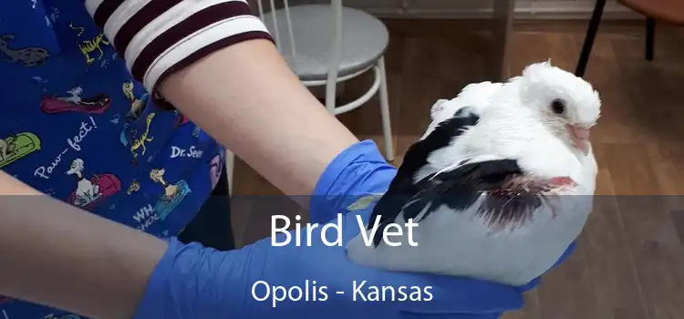 Bird Vet Opolis - Kansas