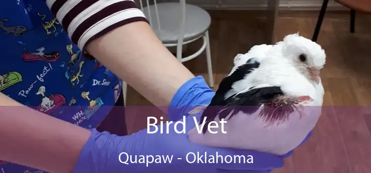 Bird Vet Quapaw - Oklahoma