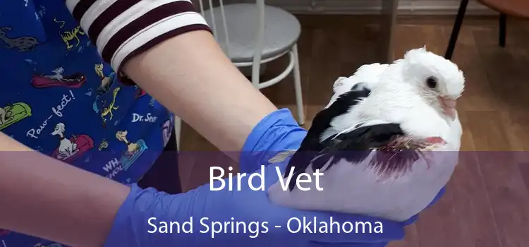 Bird Vet Sand Springs - Oklahoma