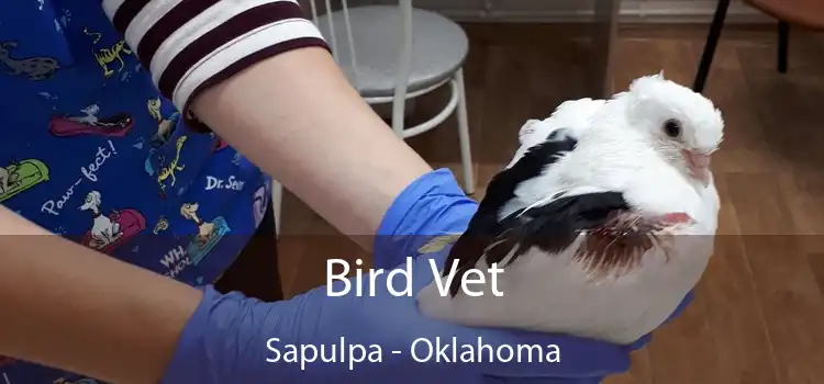 Bird Vet Sapulpa - Oklahoma