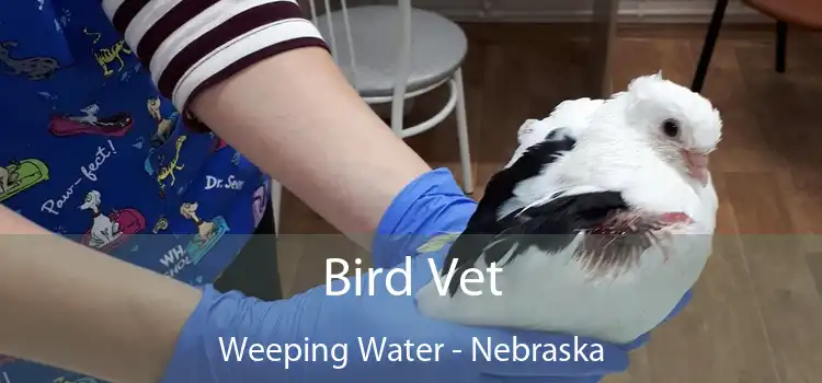 Bird Vet Weeping Water - Nebraska