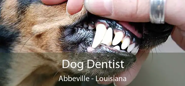 Dog Dentist Abbeville - Louisiana