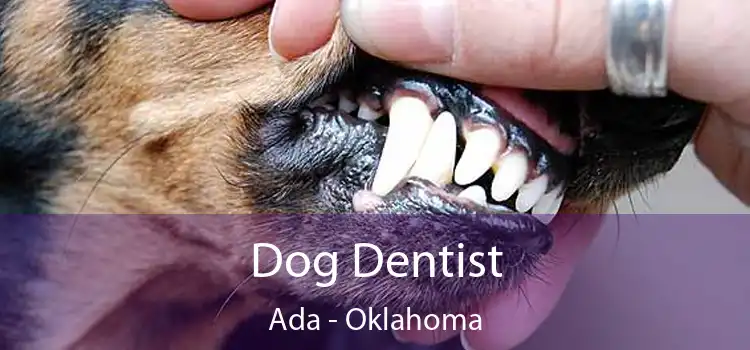 Dog Dentist Ada - Oklahoma