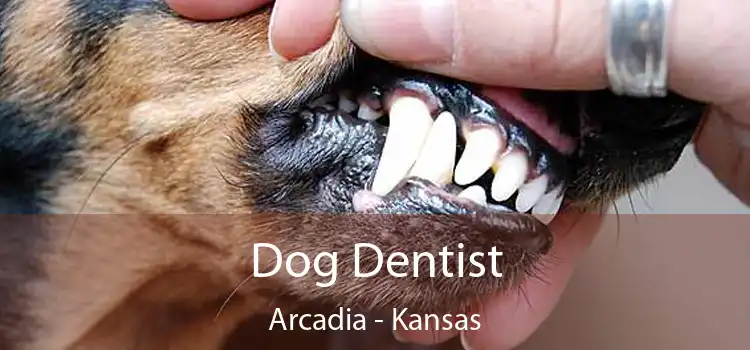 Dog Dentist Arcadia - Kansas