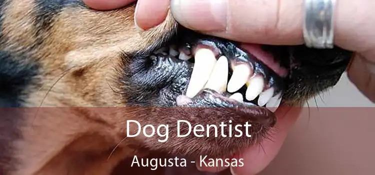 Dog Dentist Augusta - Kansas