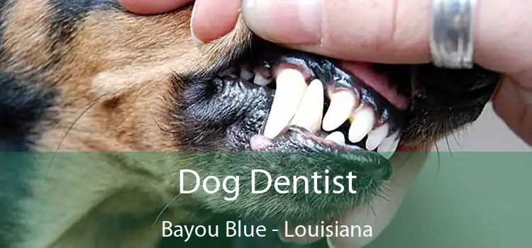 Dog Dentist Bayou Blue - Louisiana