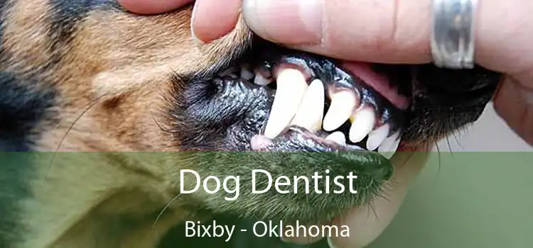 Dog Dentist Bixby - Oklahoma