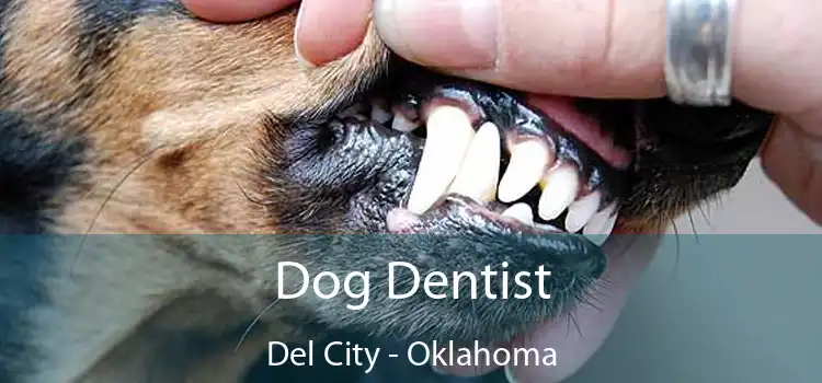 Dog Dentist Del City - Oklahoma