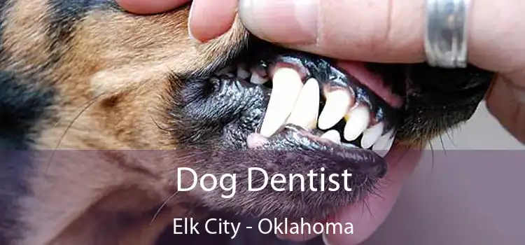 Dog Dentist Elk City - Oklahoma