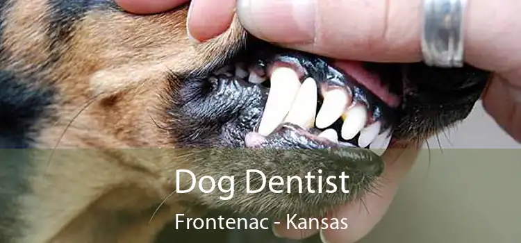 Dog Dentist Frontenac - Kansas