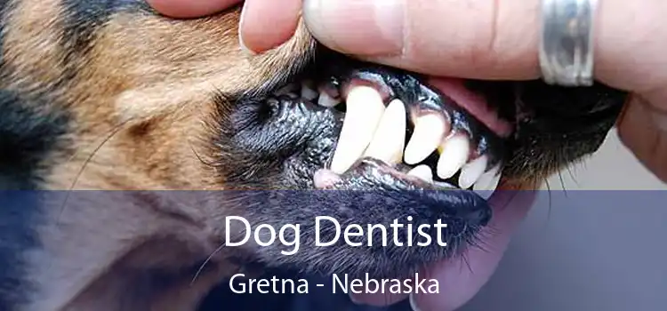 Dog Dentist Gretna - Nebraska