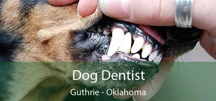 Dog Dentist Guthrie - Oklahoma