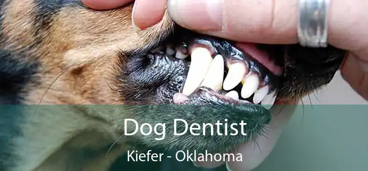 Dog Dentist Kiefer - Oklahoma