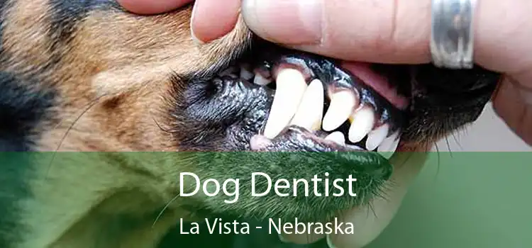 Dog Dentist La Vista - Nebraska