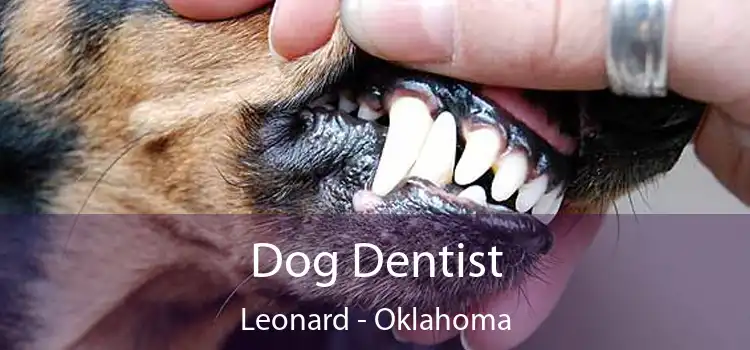 Dog Dentist Leonard - Oklahoma