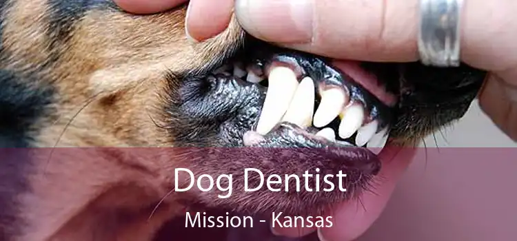 Dog Dentist Mission - Kansas