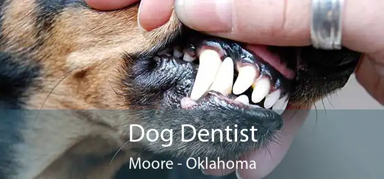 Dog Dentist Moore - Oklahoma