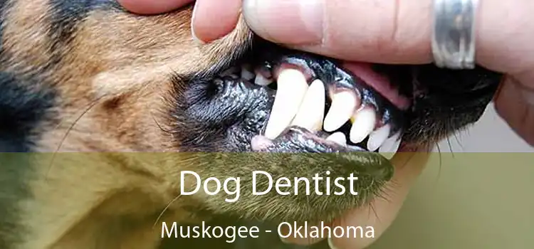 Dog Dentist Muskogee - Oklahoma