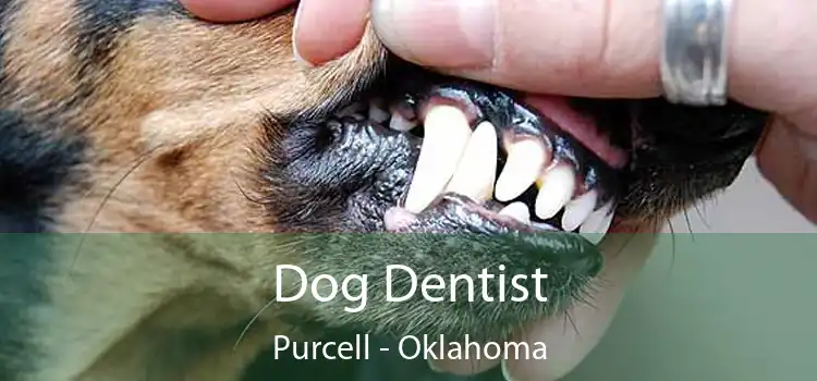 Dog Dentist Purcell - Oklahoma