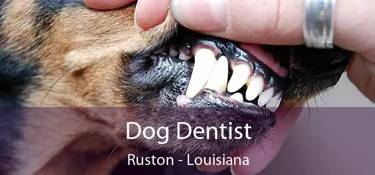 Dog Dentist Ruston - Louisiana