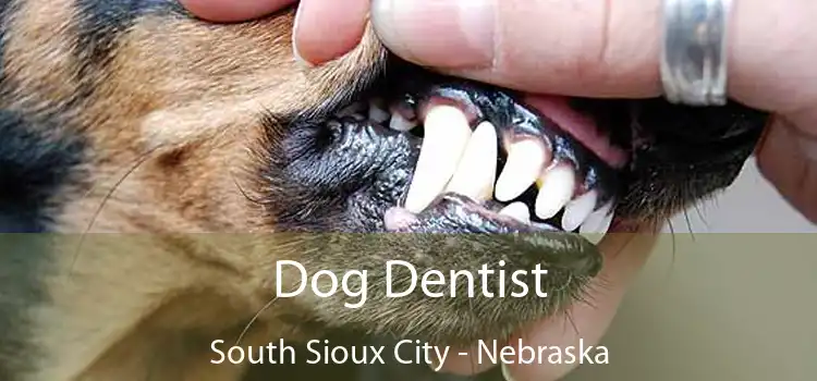 Dog Dentist South Sioux City - Nebraska