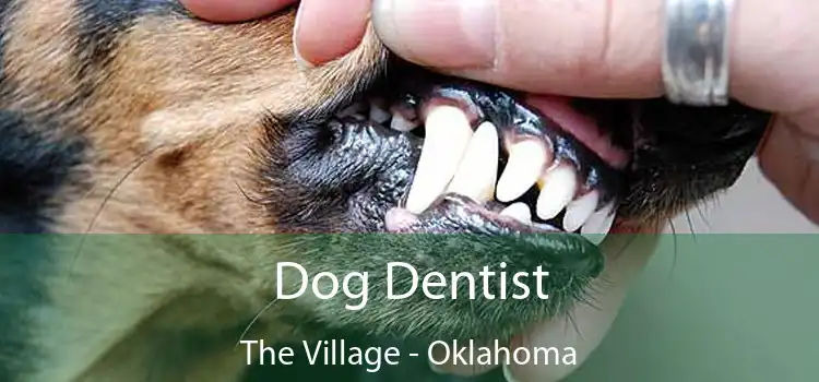 Dog Dentist The Village - Oklahoma