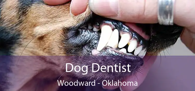 Dog Dentist Woodward - Oklahoma