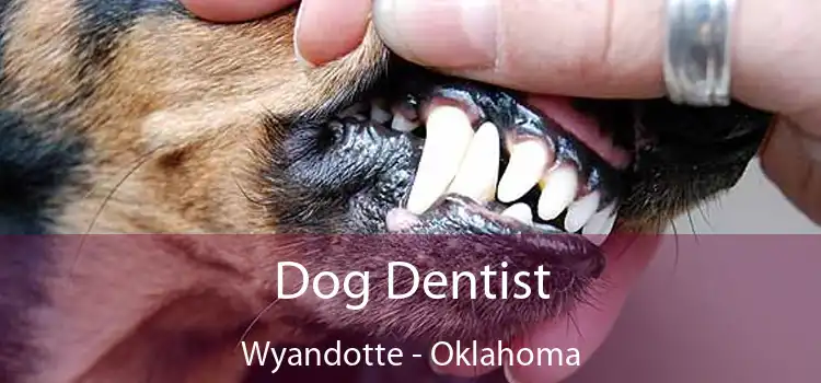 Dog Dentist Wyandotte - Oklahoma