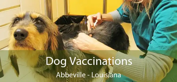 Dog Vaccinations Abbeville - Louisiana