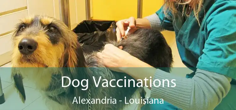 Dog Vaccinations Alexandria - Louisiana