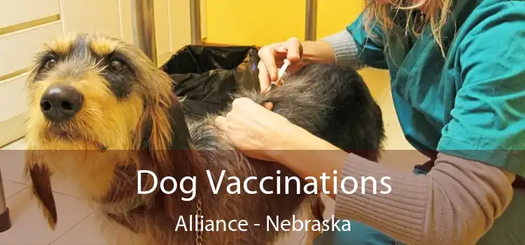 Dog Vaccinations Alliance - Nebraska