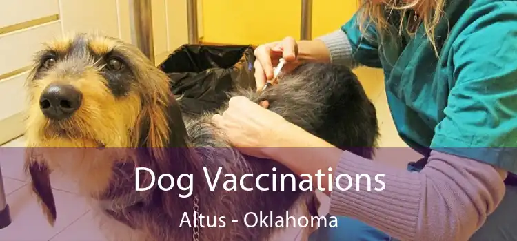 Dog Vaccinations Altus - Oklahoma