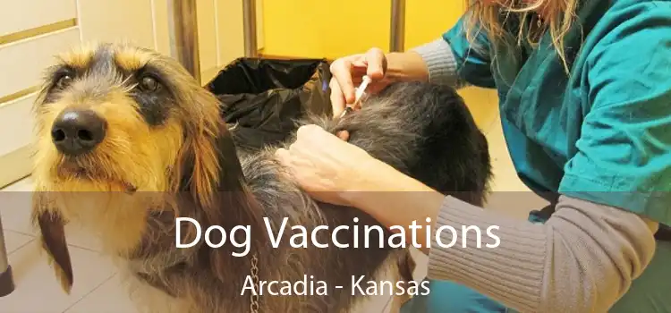 Dog Vaccinations Arcadia - Kansas