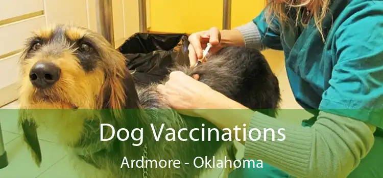 Dog Vaccinations Ardmore - Oklahoma