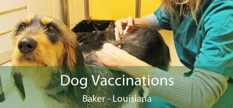 Dog Vaccinations Baker - Louisiana