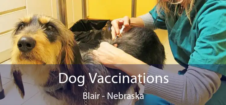 Dog Vaccinations Blair - Nebraska