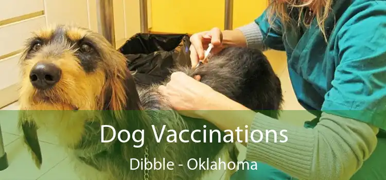 Dog Vaccinations Dibble - Oklahoma