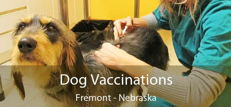 Dog Vaccinations Fremont - Nebraska