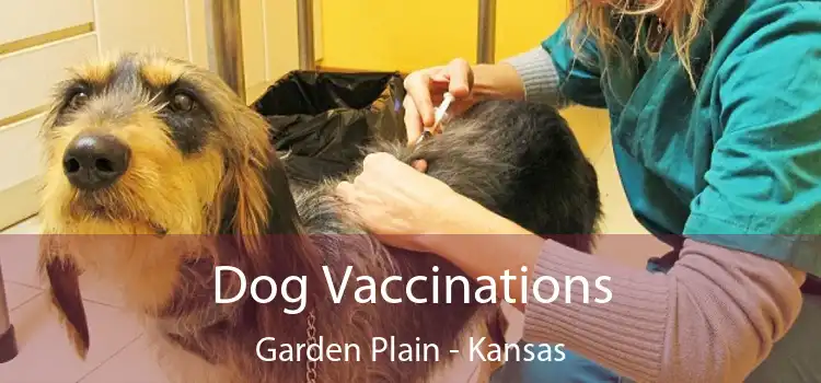 Dog Vaccinations Garden Plain - Kansas