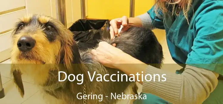 Dog Vaccinations Gering - Nebraska