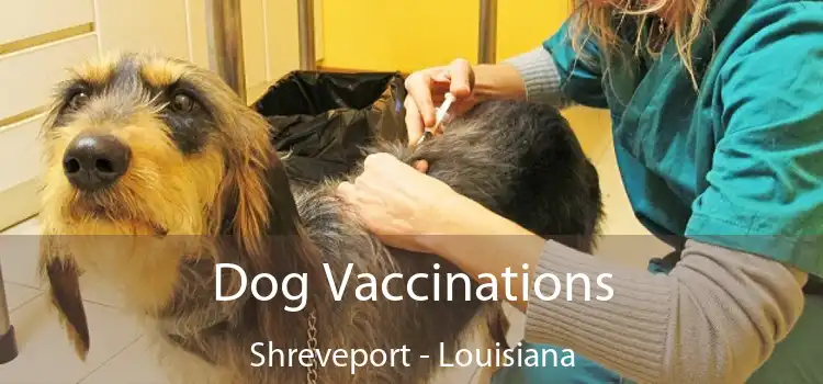 Dog Vaccinations Shreveport - Louisiana