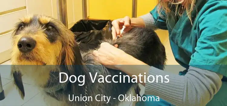 Dog Vaccinations Union City - Oklahoma