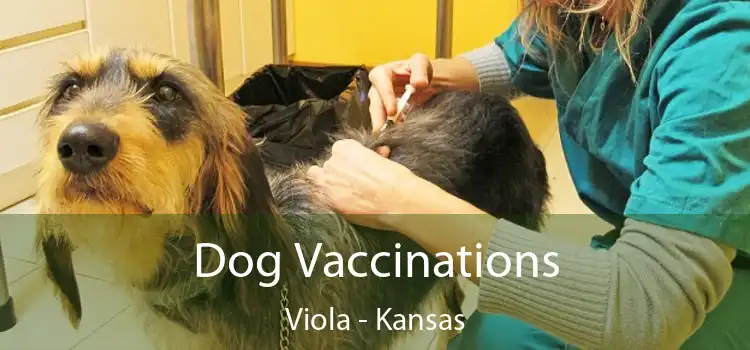 Dog Vaccinations Viola - Kansas