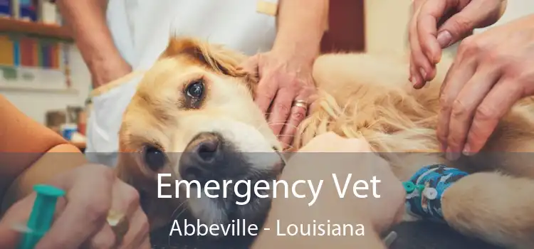 Emergency Vet Abbeville - Louisiana