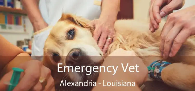 Emergency Vet Alexandria - Louisiana