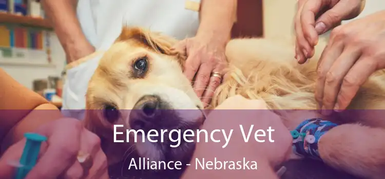 Emergency Vet Alliance - Nebraska