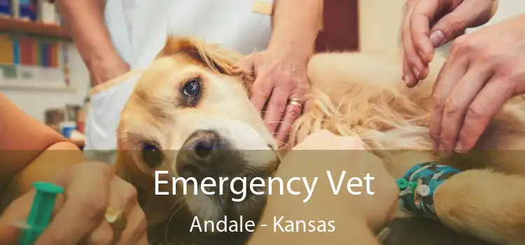 Emergency Vet Andale - Kansas